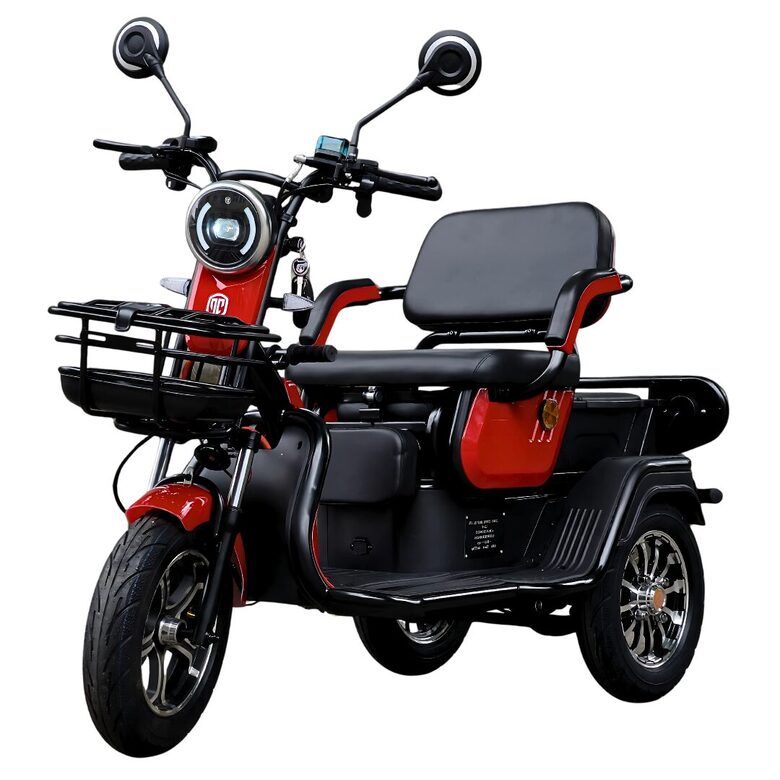 E-MOBILIS 60V/23Ah Sarkans