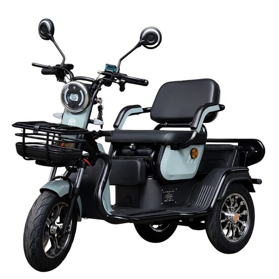 E-MOBILIS 60V/23Ah Zils